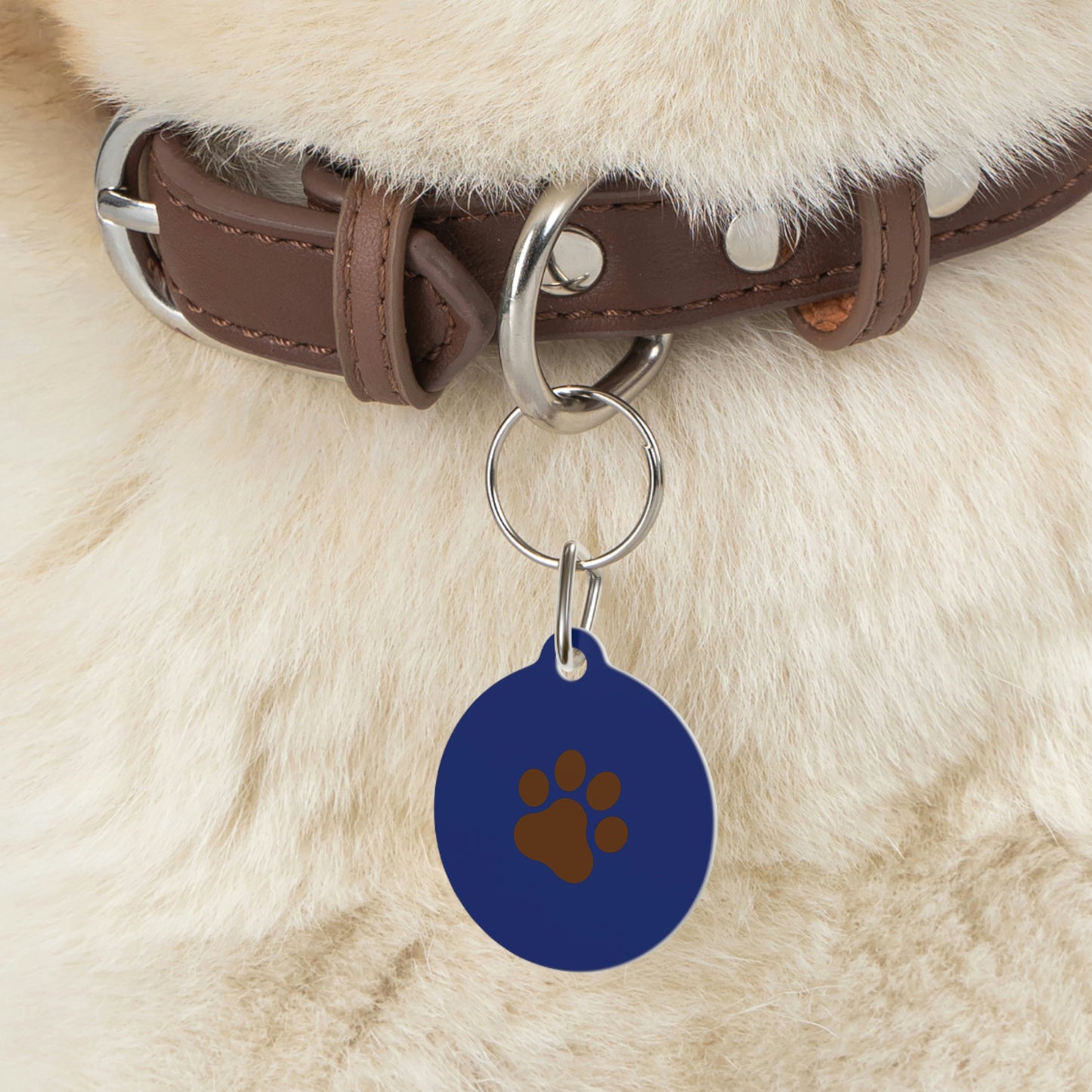 Pet Tag