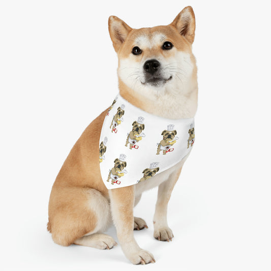 Pet Bandana Collar